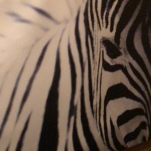 Meet your Posher, Malaury